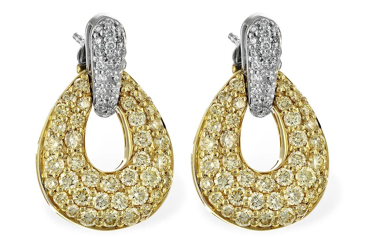 Diamond Earrings in two-tone