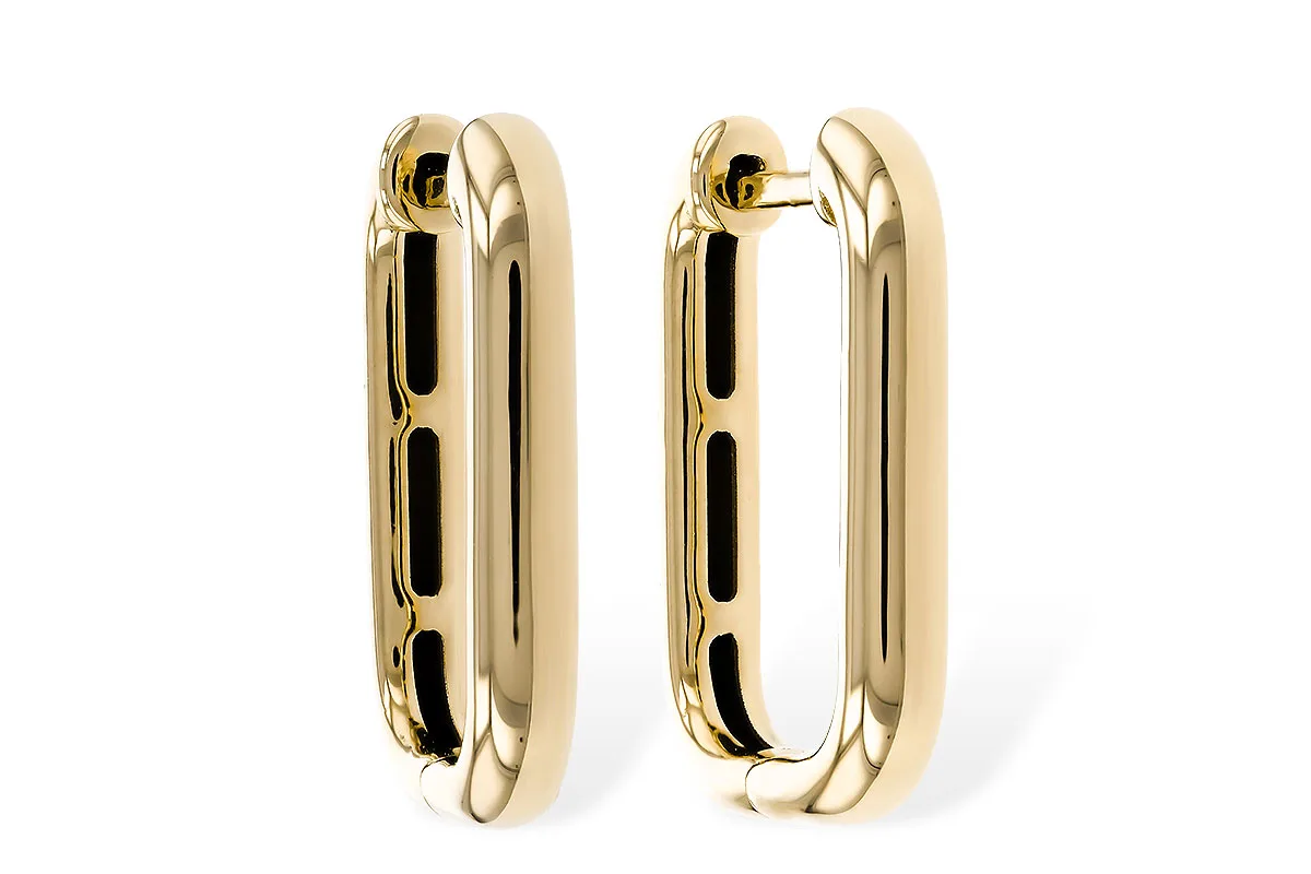 Gold Earrings in yellow gold